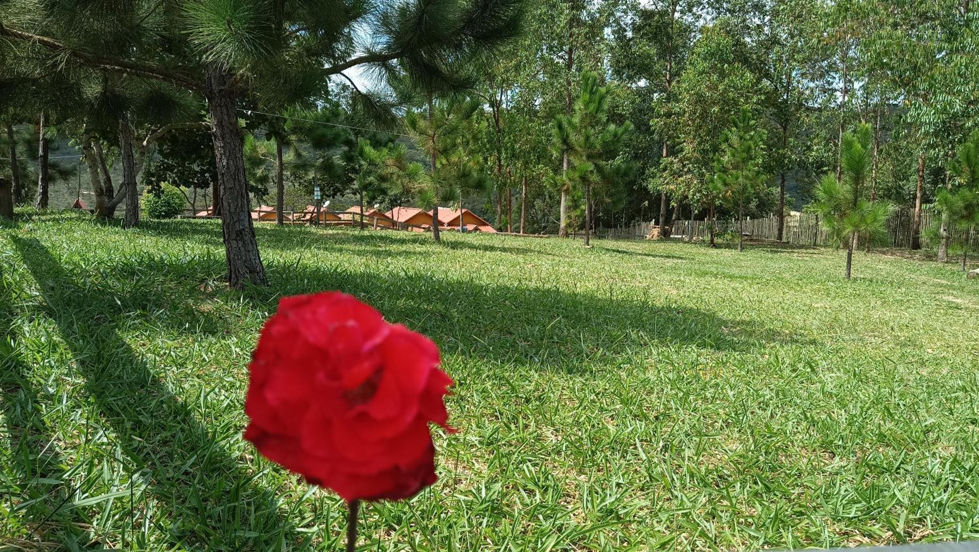 Chales E Camping Do Robinho 1 เซาโตเมตัสเลตราส ภายนอก รูปภาพ